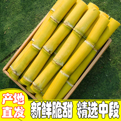新鲜上市广西黄金甘蔗新鲜多汁