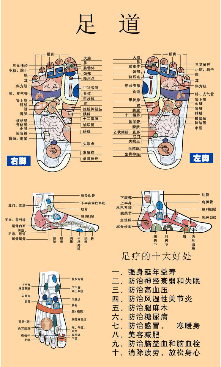 754薄膜海报印制展板喷绘写真646足道足疗穴位图脚底示意图好处