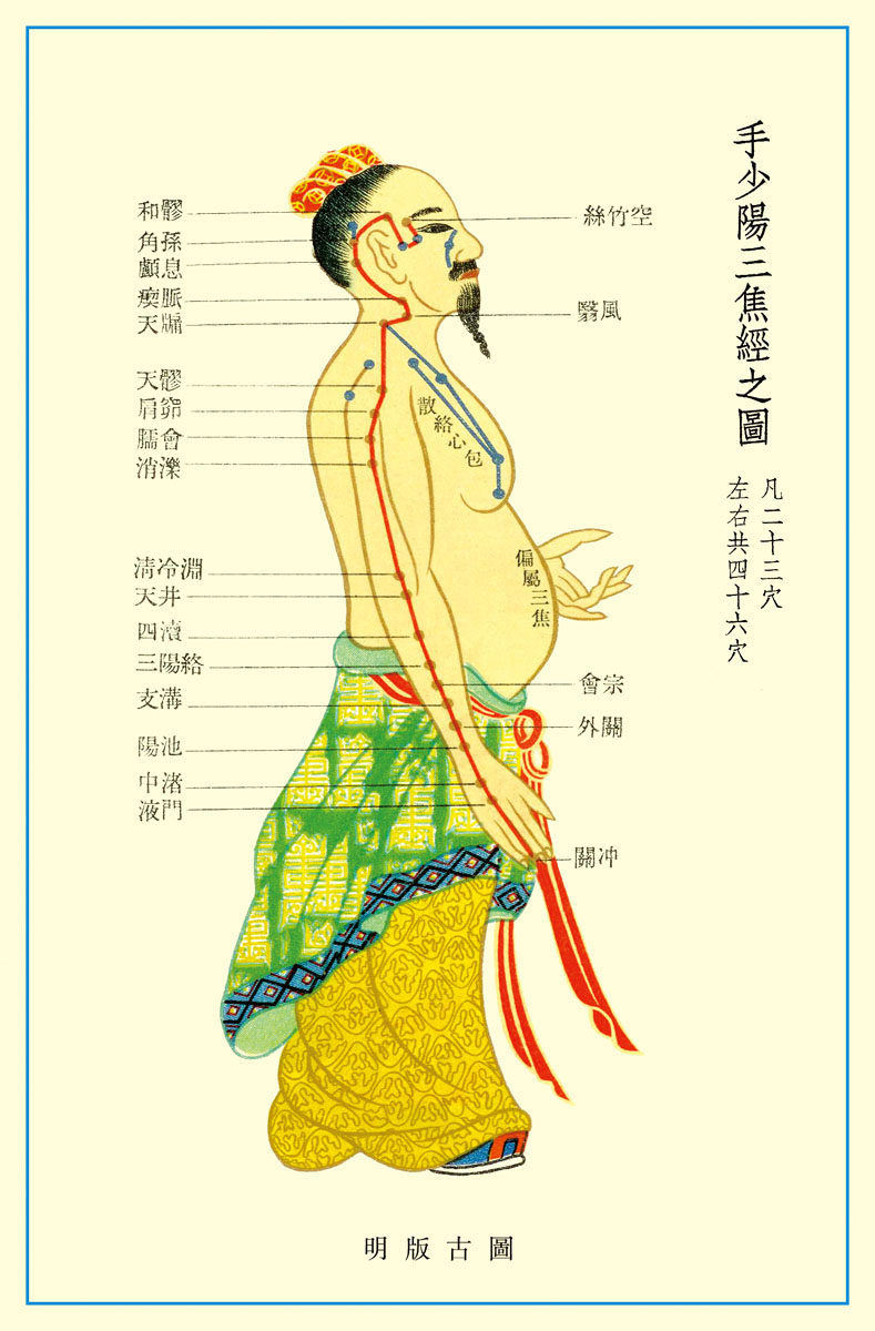 569薄膜海报印制展板喷绘写真241手少阳三焦经穴位图