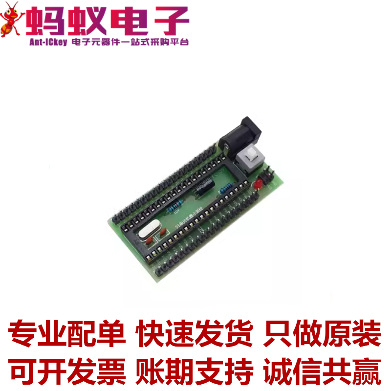 51单片机 最小系统板 直插版开发板/学习板/评估