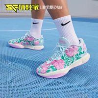 Обувь Nike Lebron XXI PRM Джеймс 21 Мужская баскетбольная обувь FV7276-401