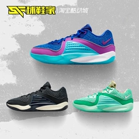 Обувь Nike KD16 EP Durant 16 Низкие низкие голубые мужчины практические баскетбольные туфли DV2916-003