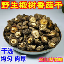 松菇家用 小蘑菇 250g 椴树无根肉厚纯正 香菇干货农家自产