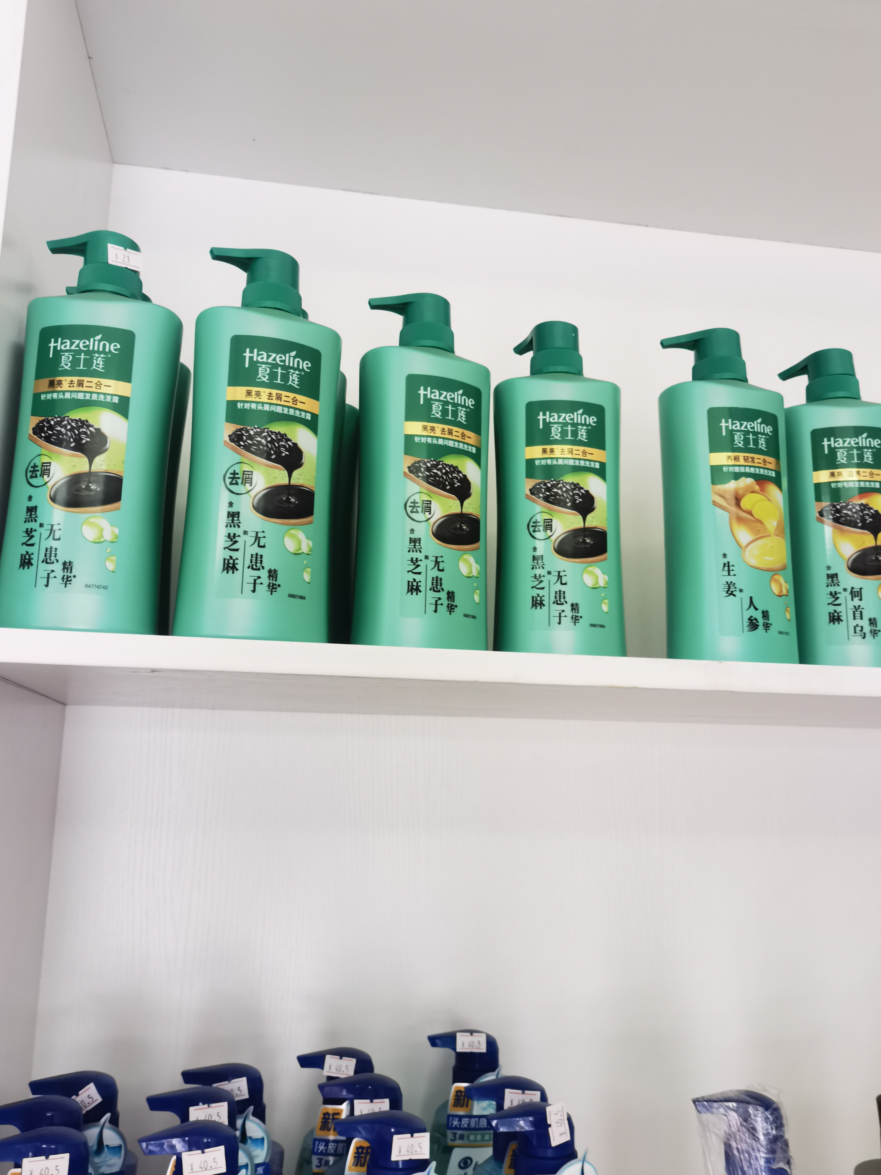 夏士莲控油去屑洗发水750g 黑亮滋养人参石斛洗发露