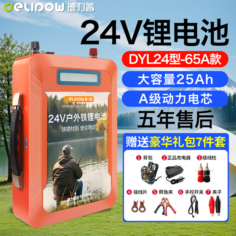 德力普12v24v大容量锂电池