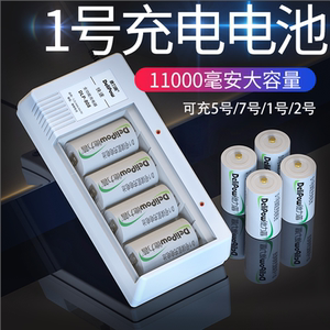 德力普1号充电电池万能快充电器可充大一号燃气灶热水器D型套装