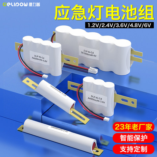 德力普消防应急灯电池组