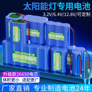 德力普太阳能灯专用锂电池组