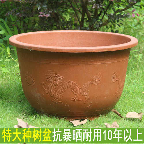 庭院户外特大号三角梅龙缸盆树脂