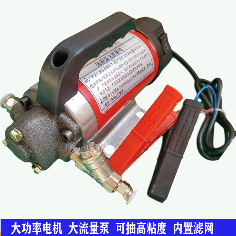 220V高压抽油泵内置滤网12V电动 汽车 机油泵微型加油器齿轮 铸铁