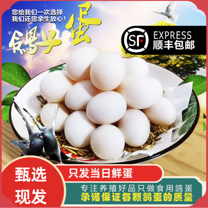 鸽子蛋新鲜20枚精选包邮孕妇宝宝辅食五谷杂粮农家散养鸽蛋生鲜蛋