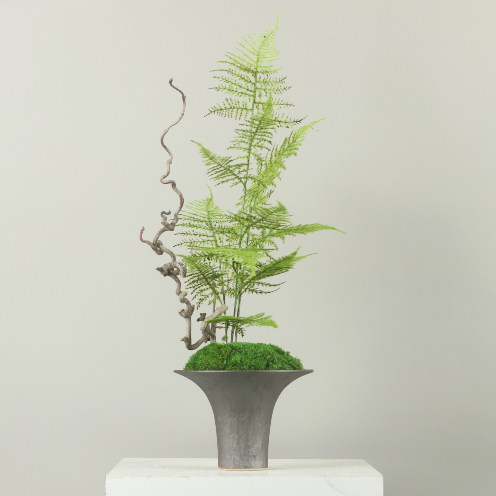 新中式侘寂风禅意永生苔藓文竹干支花茶室民宿茶桌茶几花架装饰品