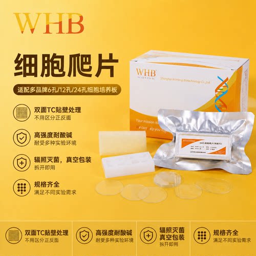 WHB卧宏细胞爬片6孔12孔24孔48孔96孔圆形方形无菌细胞爬片盖玻片