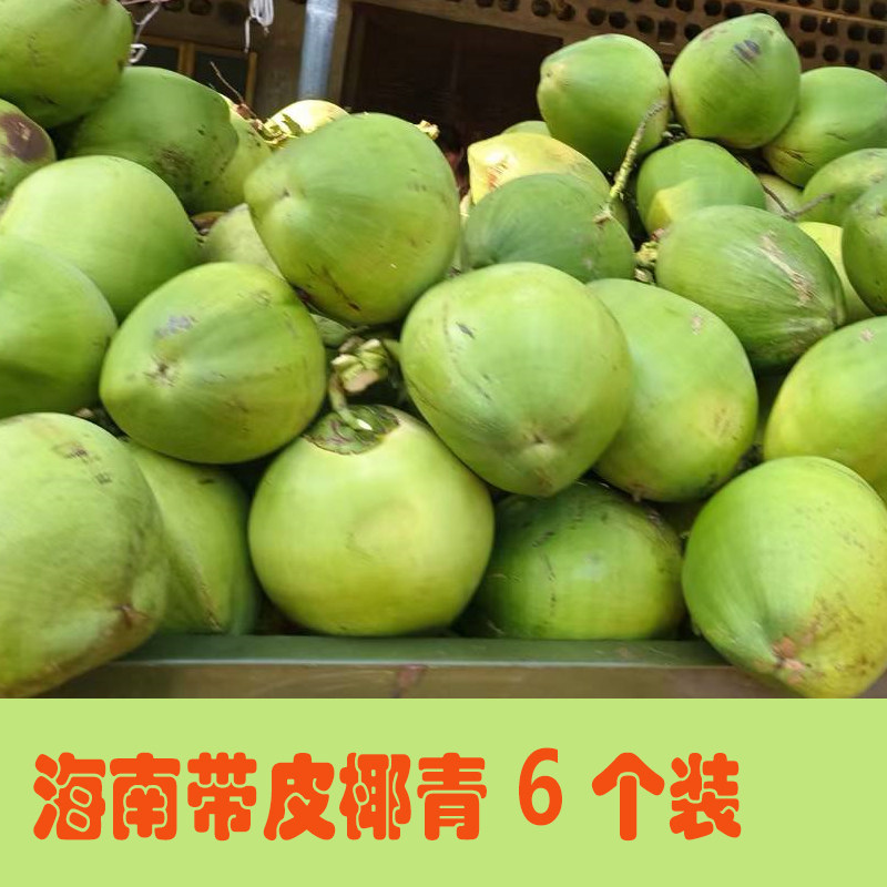 海南大青椰子现摘新鲜