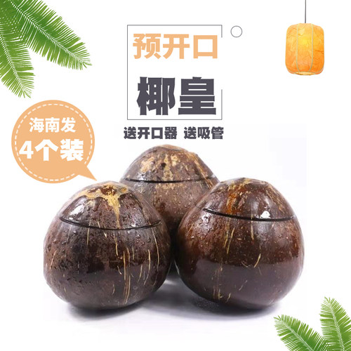 海南预切口开盖炖盅抛光个装椰皇