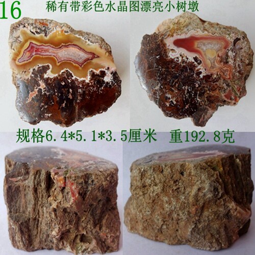 天然奇石观赏树稀有玉化玛瑙摆件
