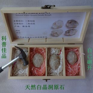 天然古生物树化石斑彩螺旋菊石自己砸开水晶球科普盲盒3658