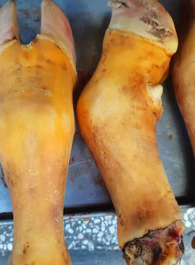 云南宣威新鲜黄牛蹄子 生牛蹄牛脚黄牛蹄牛掌牛脚