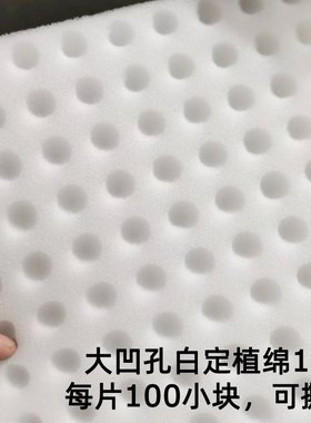 大棚基地学校无土栽培凹孔定植绵育苗种植海绵水培生菜草莓种菜棉