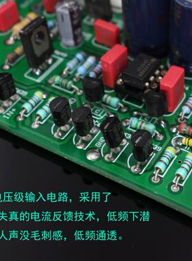 柏林之声风格功放套件 2声道HiFi功放 HIFI高传真音响设备