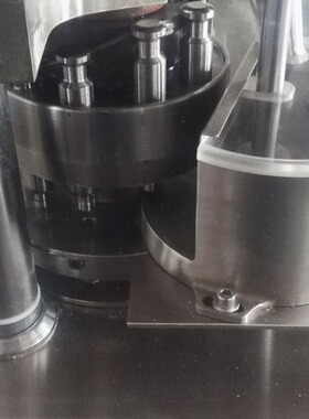 ZP9B中药粉末纯粉压片三七粉打片机颗粒旋转压片机造粒机小制药