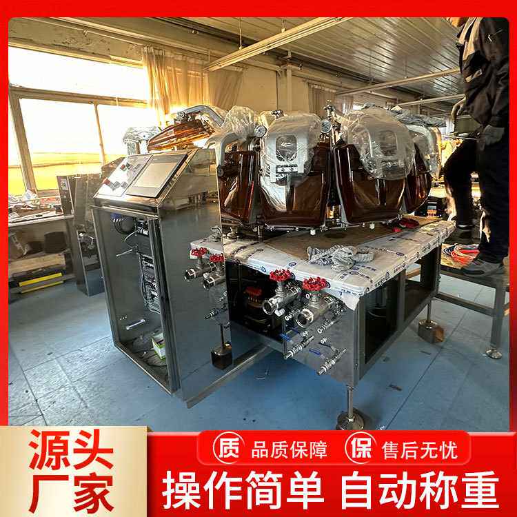 果蔬脆片包装机 全自动上料包装设备 给袋式膨胀食品真空包装机