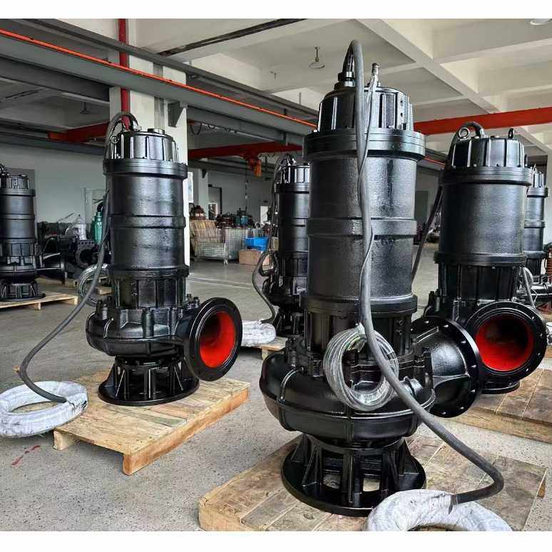 大型潜水排污泵18.5KW厂家直供流道式叶轮污水处理潜水排污泵