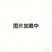 B16N B40N B25N B6摆线齿轮油泵BB 上海东高BB B20 B10 B32N 50N2