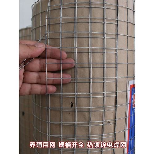 热镀锌铁丝网围栏养鸡养鸭钢丝户外防护栅栏围墙网片养殖格网防鼠