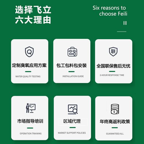 飞立臭氧发生器养殖废水处理 可连续工作高浓度氧气源臭氧发生器