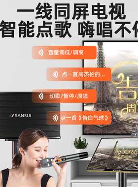 山水PK09家用K歌卡拉OK家庭一体ktv点歌机大音响电视唱歌套装音箱