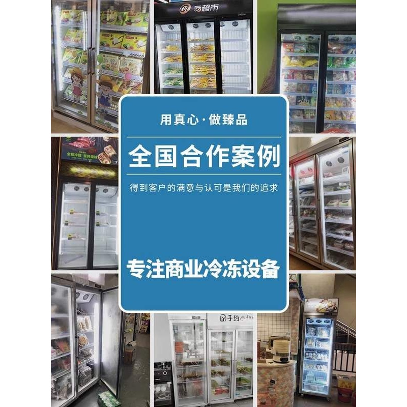 商用冷藏冷冻展示柜立式 冰淇淋急冻柜 超市水饺雪糕速冻柜