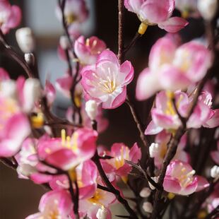 腊梅梅花枝仿真花假花插花客厅电视柜摆件装饰品中式绢花茶几家居