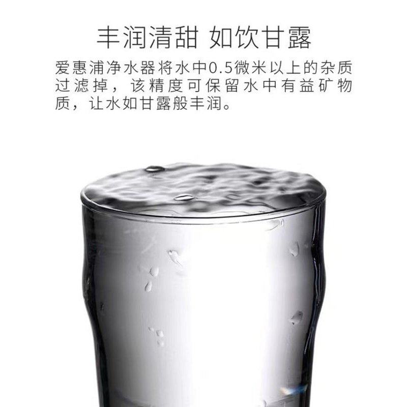 美国爱惠浦MC2净水器双联奶茶店咖啡制冰机大流量直饮商用过滤器