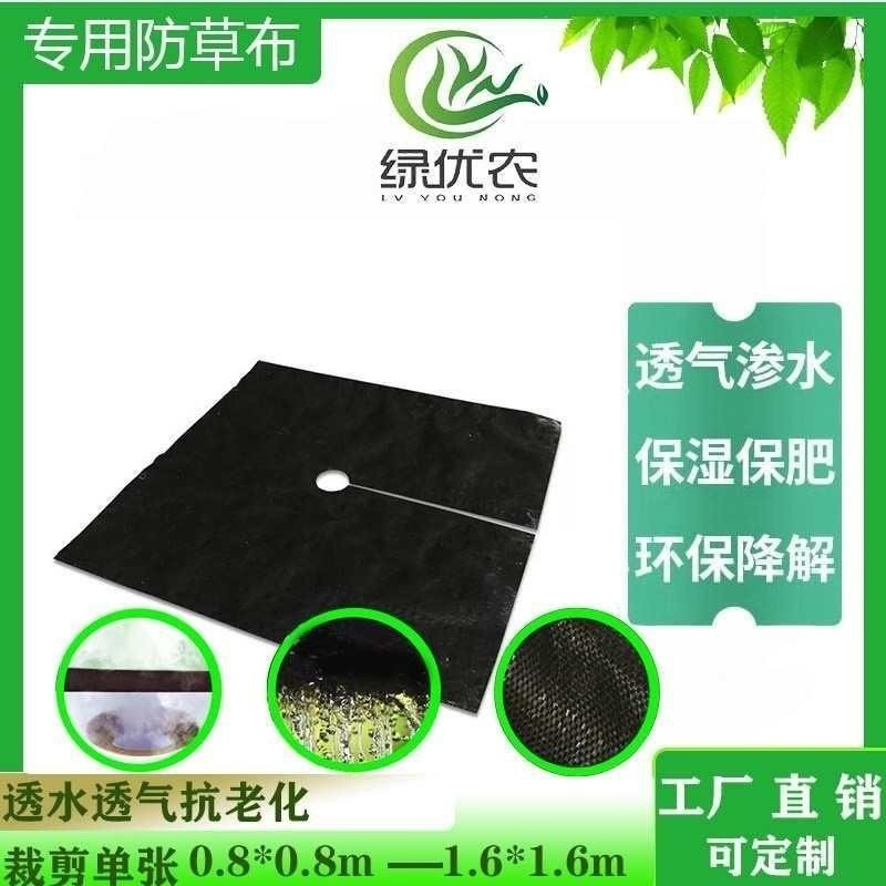 新型农用除草地布果园果树透气透水保湿耐用专用防草地膜厂家直发,农机/农具/农膜,农用防草地布/除草布,淘宝优惠券,粉丝福利购,淘宝优惠卷