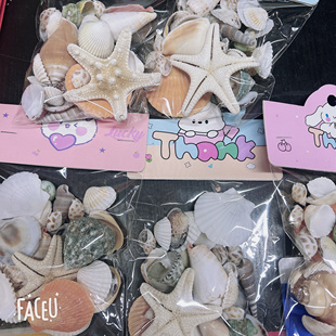 19元 天然贝壳海螺海星海胆壳幼儿园手工diy贝壳相框鱼缸造景 包邮