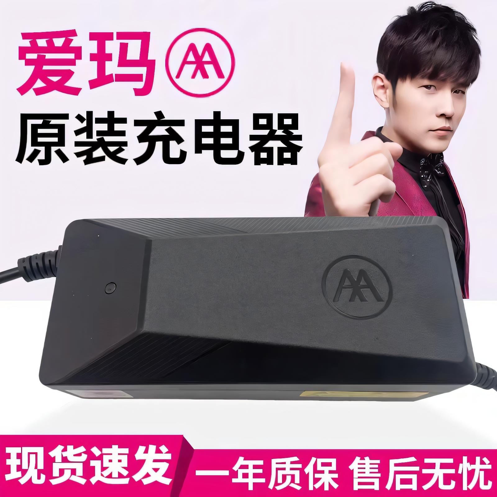 爱玛电动车充电器48V60v72v