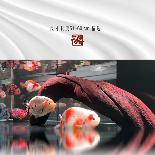51-60cm适合80cm缸精品沉木