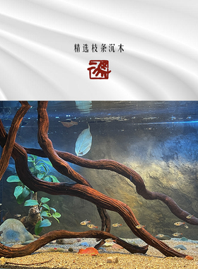 二马 南美缸造景紫柚木枝条七彩埃及 鱼缸装饰躲避 沉木条 树森林