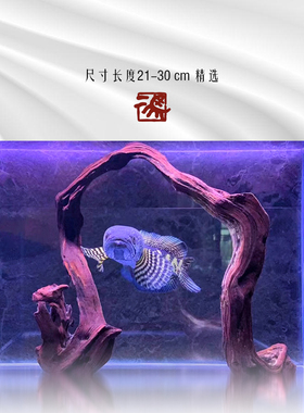 ada 二马沉木30cm内迷你小鱼缸造景 适合小米鱼缸沉木造景 沉木