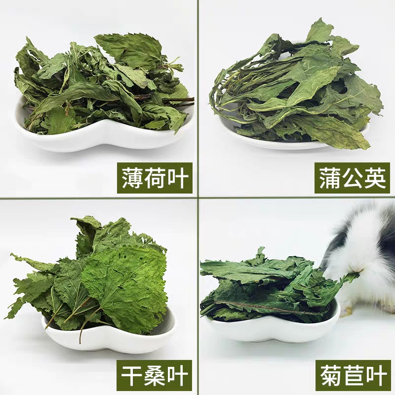 兔子龙猫豚鼠牧草干草