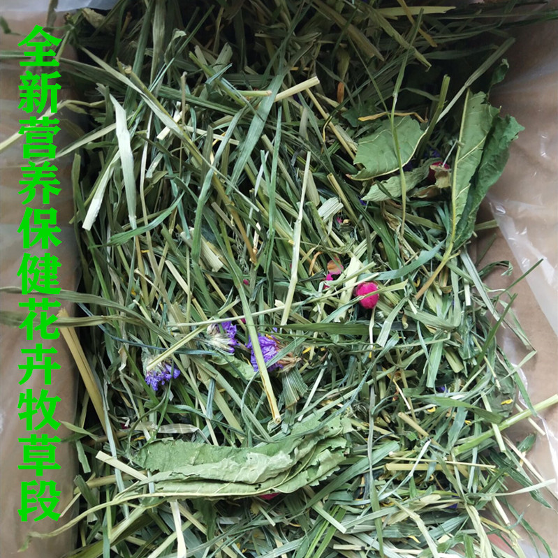 天竺鼠龙猫兔子牧草牧草之都