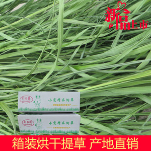包邮 归乡提 烘干提摩西草 兔子豚鼠龙猫北提牧草干草毛重1kg