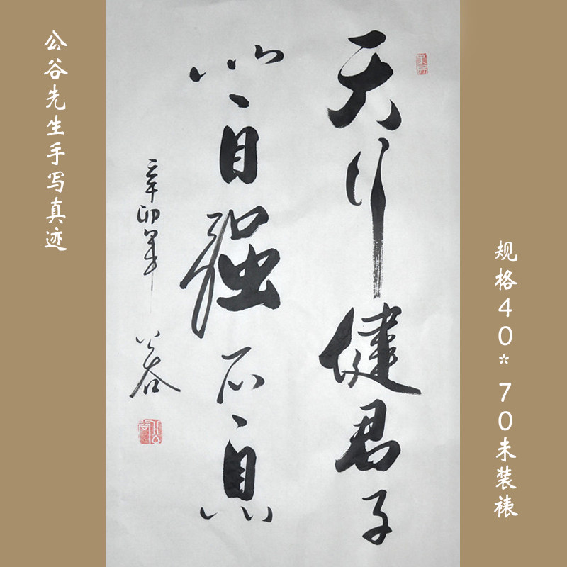 浩贤堂《天行健君子以自强不息》书法行书条幅作品装饰礼品