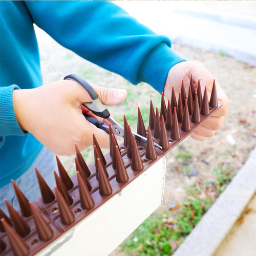 塑料防鸽子防鸟刺别墅防猫刺高防鼠刺防盗防鸟刺12片5.4米送胶贴
