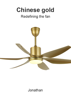 Flower Ones高端遥控风扇灯新款吊扇餐厅客厅家用电风扇吊灯一体