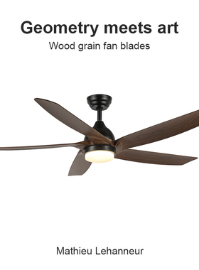 Flower Ones高端美式餐厅吊扇家用客厅静音变频大风力遥控风扇灯