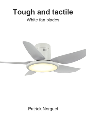 Flower Ones北欧风扇吸顶灯客餐厅家用现代简约低楼层静音吊扇灯