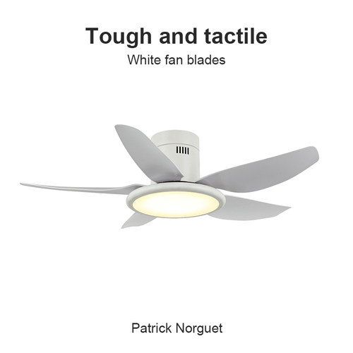 FlowerOnes北欧餐厅风扇吸顶灯