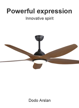 Flower Ones简约现代家用风扇灯客餐厅大风力全能遥控变频吊扇灯